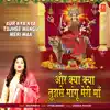 Aur Kya Kya Tujhse Mangu Meri Maa - Single album lyrics, reviews, download
