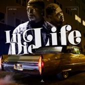 In Die Life artwork