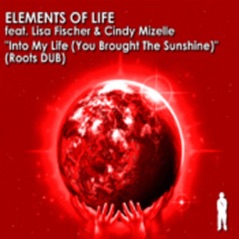 Into My Life (Dub Mixes) [feat. Lisa Fischer & Cindy Mizelle] - EP