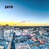 Just Hold On - Single