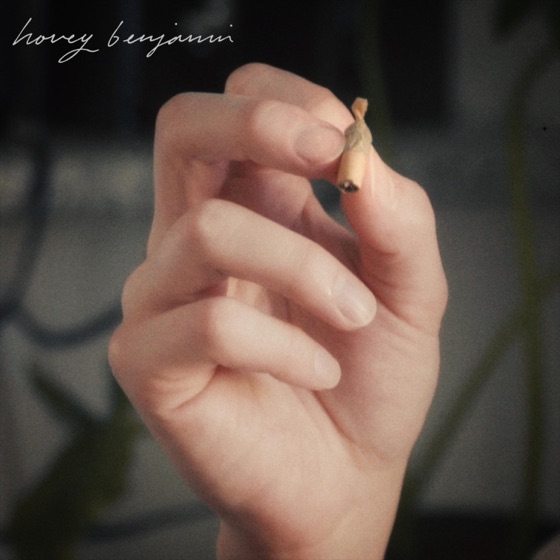 Cover artwork for Never Too Much