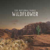 The National Parks - I Can Feel It
