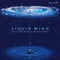 In Fields of Peace (Ocean Mix) - Liquid Mind lyrics
