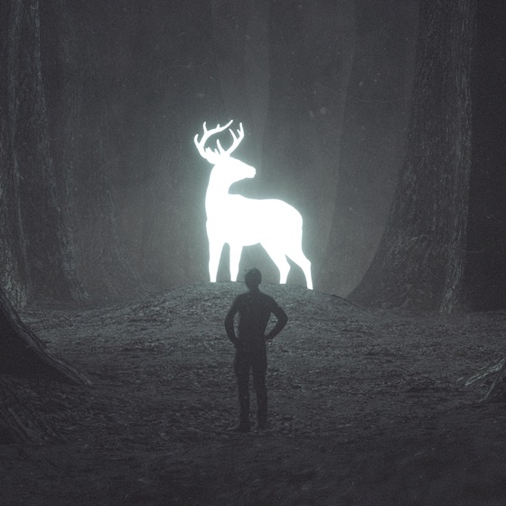 Cover artwork for In the Dark