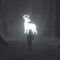 In the Dark - BRAN lyrics