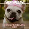 Sweet Caroline 2019 (Christmas Radio Edit) - Single album lyrics, reviews, download