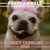 Sweet Caroline 2019 (Christmas Radio Edit) - Single