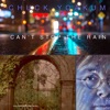 Can't Stop the Rain - Single