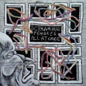 Screaming Females - Fantasy Lens