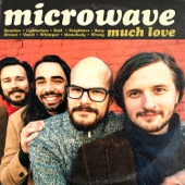 Microwave - Wrong
