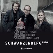 Beethoven Pirchner Mendelssohn (feat. Hanna Bachmann, Roland Lindenthal & Franz-Markus Siegert) artwork