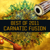 Best of 2011 - Carnatic Fusion - Various Artists