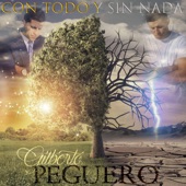 Con Todo y Sin Nada artwork