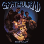Grateful Dead - We Can Run