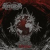 Festerday - Flowers of Stone