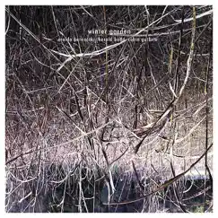 Winter Garden by Eraldo Bernocchi, Harold Budd & Robin Guthrie album reviews, ratings, credits
