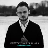 Butterflies (Toby Romeo Remix) artwork