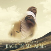 Back in My Arms artwork