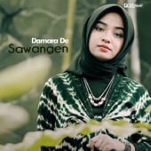 Sawangen by Damara De - cover art