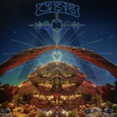 Chris Robinson Brotherhood - Rosalee