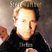 Steve Wariner - Where Did I Go Wrong