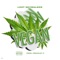 Vegan - LOOT $kywalker lyrics