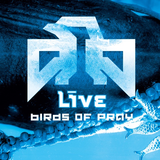 Cover artwork for Like I Do