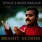 Bright Echoes (feat. Meher Paralikar) artwork