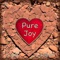 Pure Joy - Single