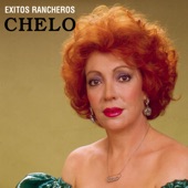 Éxitos Rancheros artwork