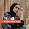 Habibi: Romantic Arabic Music - Sensual Belly Dance, Hot Oriental Lounge Music - Various Artists