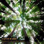 Sainte Barbe & Ladysmith Black Mambazo - Rainforest