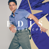 Çok Çok - EDIS