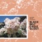 I Don't Have You in My Life - Black Belt Eagle Scout lyrics