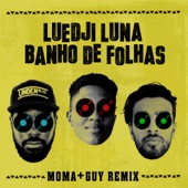 Banho de Folhas (Remix) artwork
