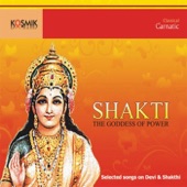 Shakti - The Goddess Of Power artwork