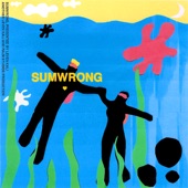 Sumwrong by Leven Kali
