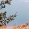 Ephemeral (feat. Pointy Features) - Ricardo Schneider lyrics