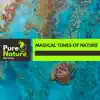 Magical Tunes of Nature album lyrics, reviews, download