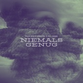 Niemals genug artwork