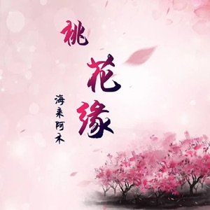 Hai Lai A Mu (海來阿木) - Tao Hua Yuan (桃花缘) (DJ沈念版) - 排舞 音樂