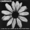 In a City Lining - Cardiacs lyrics