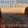 Setting Sun (feat. Delane Barrus) - Single album lyrics, reviews, download