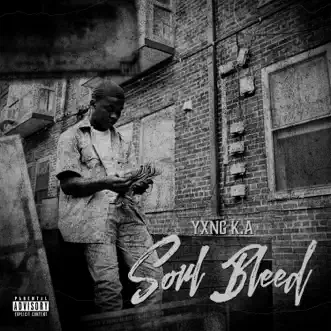 Soul Bleed - Single by YXNG K.A album reviews, ratings, credits