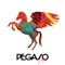 Pegaso - Papus lyrics