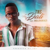 TNS - My Dali (feat. Indlovukazi)