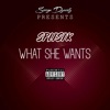 What She Wants - Single