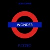 Rod Koppar - Wonder