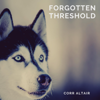 Corr Altair - Forgotten Threshold artwork