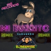 Mi Burrito Sabanero Remix (Remix) artwork